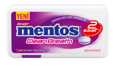 Mentos 2 Hours Clean Breath Plastic Dispenser Forest Fruit Candy  21 gr